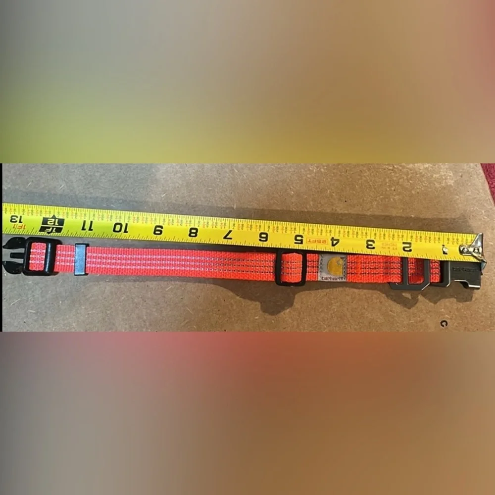 🐾 🐾 🧡LIKE NEW🧡BRIGHT HUNTER ORANGE DOG COLLAR 🐾🐾